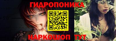 крисы Будённовск