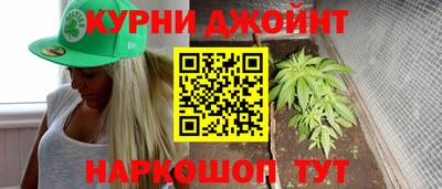 крисы Будённовск