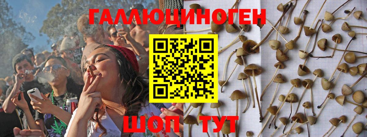 Саратов  Псилоцибиновые грибы MAGIC MUSHROOMS  Вход с VPN  Псилоцибиновые грибы мухоморы 